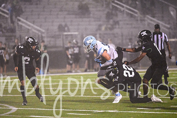 DSC_5527_edited-1