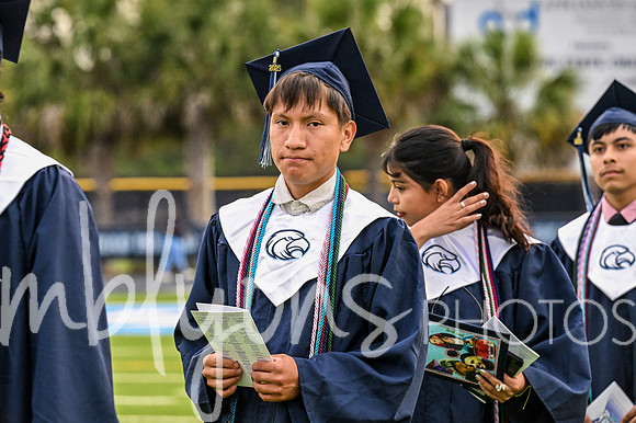 DSC_7137_edited-1