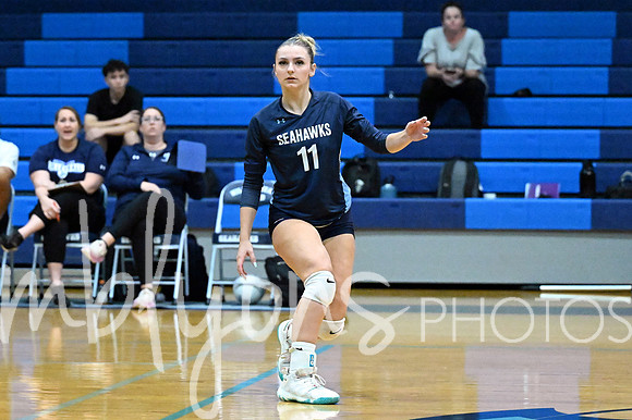 DSC_9797-1_edited-1