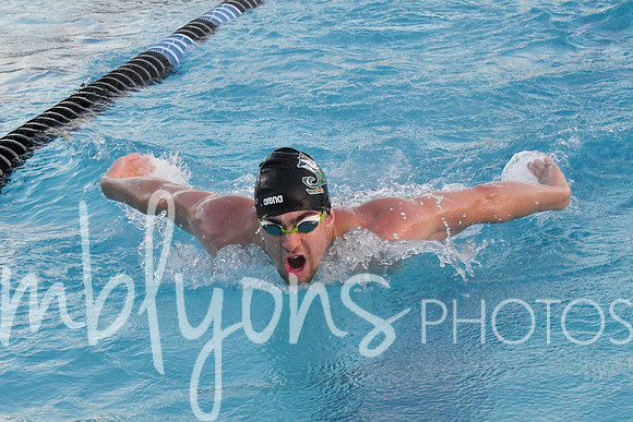 DSC_6033_edited-1