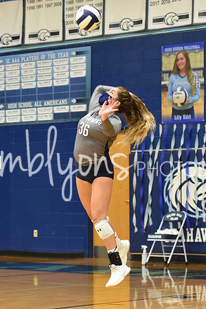 DSC_1110_edited-1