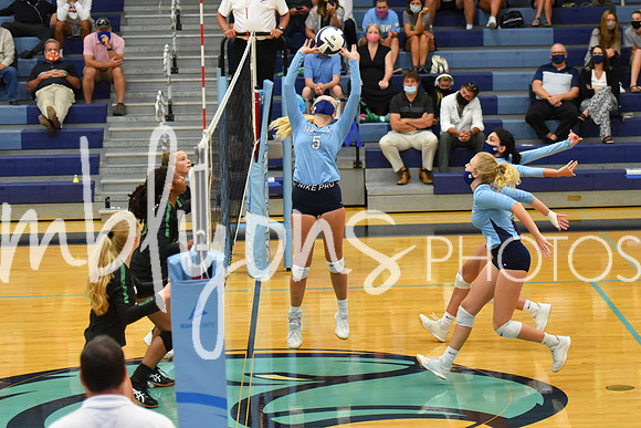 DSC_1154_edited-1