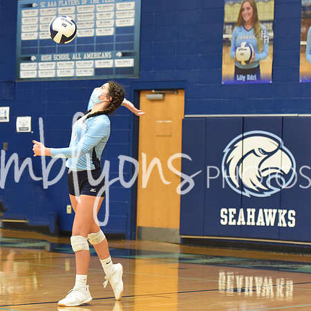 DSC_2952-11_edited-1