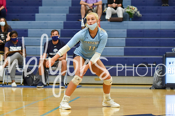 DSC_3103_edited-1