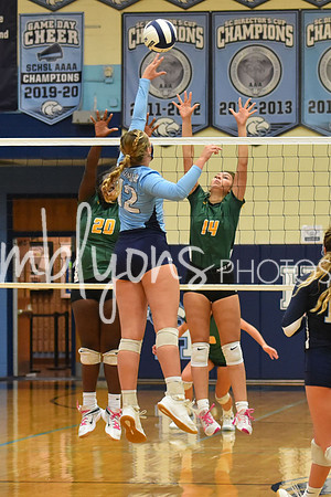 DSC_3565-1_edited-1