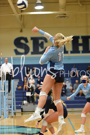DSC_3865_edited-1