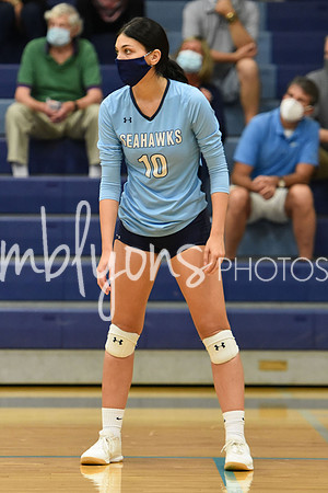 DSC_3872-1_edited-1