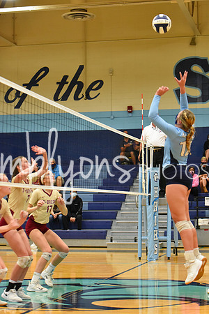DSC_3875_edited-1