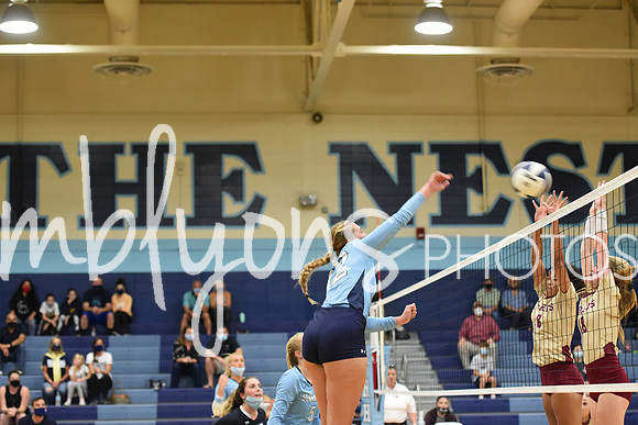 DSC_3919-1_edited-1