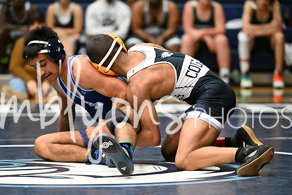 DSC_6637-1_edited-1