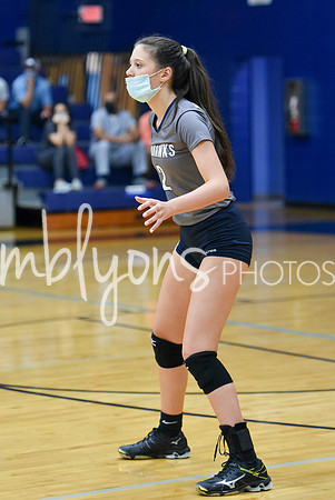 DSC_7547-1_edited-1