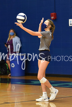 DSC_7568-1_edited-1