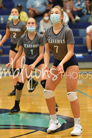 DSC_7639-1_edited-1