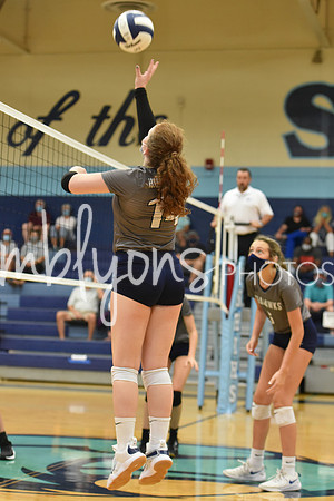 DSC_7649-1_edited-1