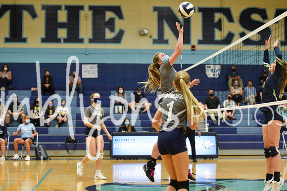 DSC_1332_edited-1