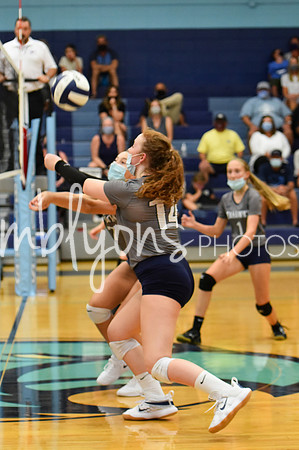 DSC_7676-1_edited-1