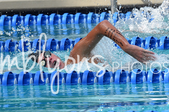 DSC_2277_edited-1
