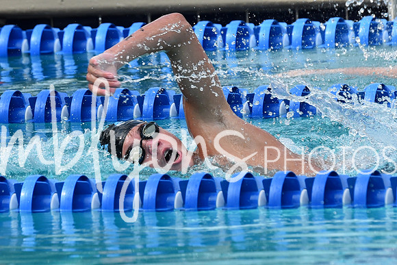 DSC_2278_edited-1