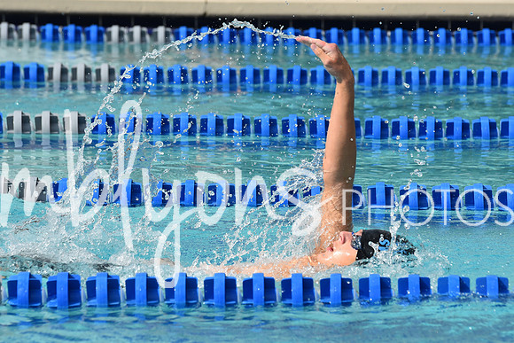 DSC_2304_edited-1