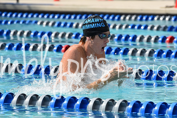 DSC_2310_edited-1