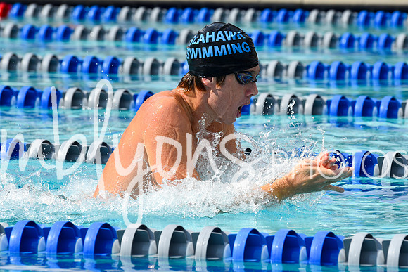 DSC_2314_edited-1