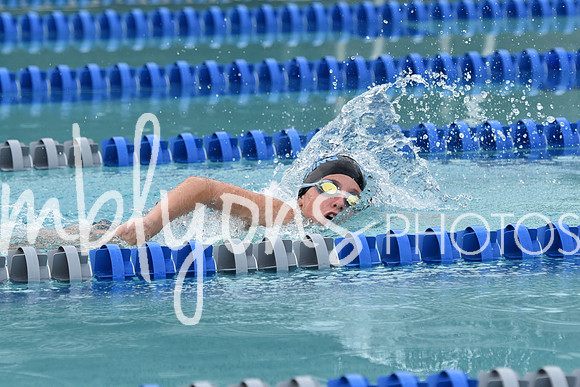 DSC_6233_edited-1
