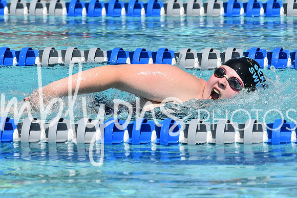 DSC_5340_edited-1