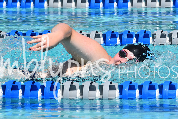 DSC_5341_edited-1
