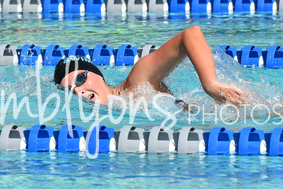 DSC_6462_edited-1