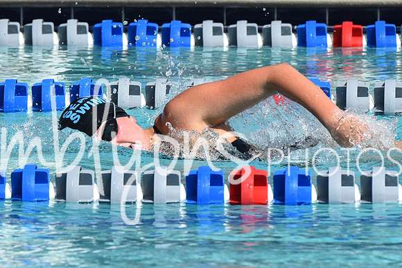 DSC_6469_edited-1