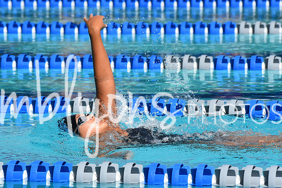 DSC_6498_edited-1