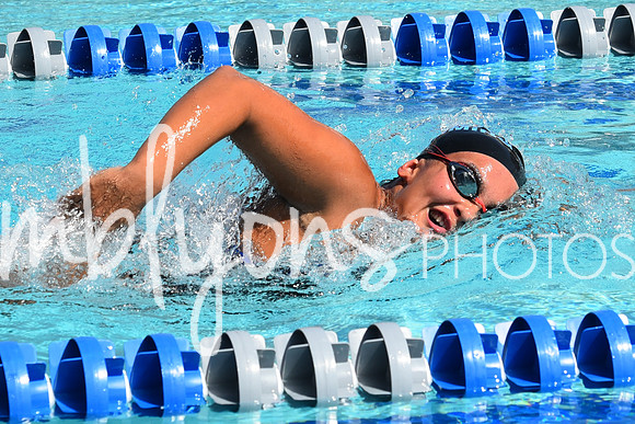 DSC_6511_edited-1
