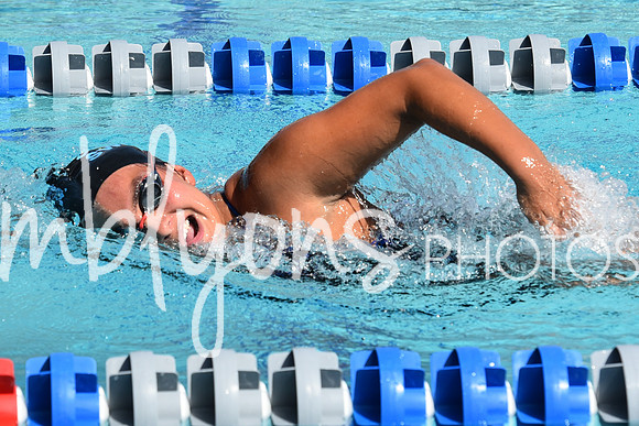 DSC_6515_edited-1