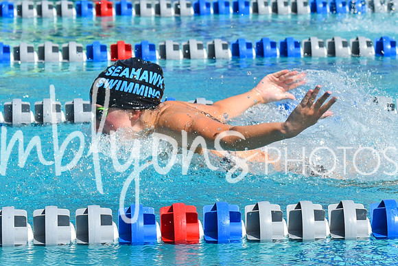DSC_6527-1_edited-1