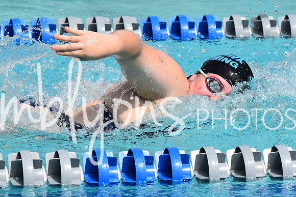 DSC_6724_edited-1