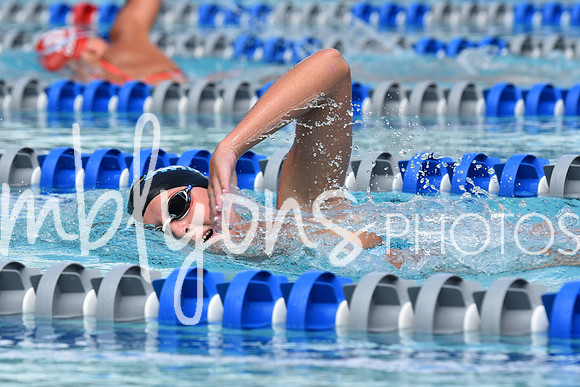 DSC_6797_edited-1