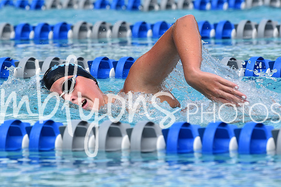 DSC_6804_edited-1