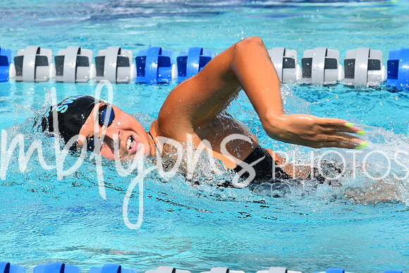 DSC_6951_edited-1