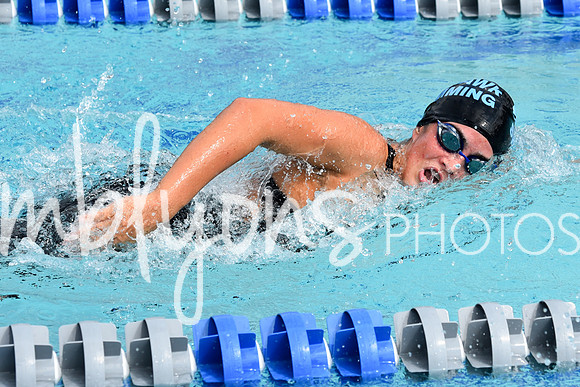 DSC_1931_edited-1