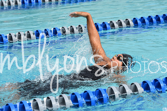 DSC_1954_edited-1