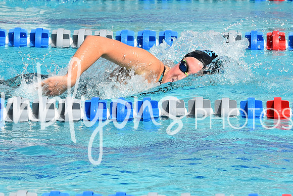 DSC_2007_edited-1