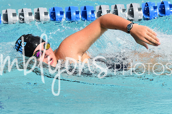DSC_2022_edited-1