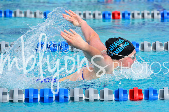 DSC_2036_edited-1