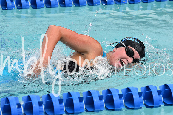DSC_2093_edited-1
