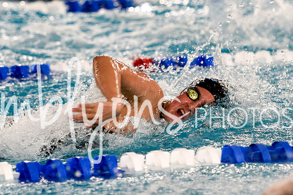 DSC_7339_edited-1