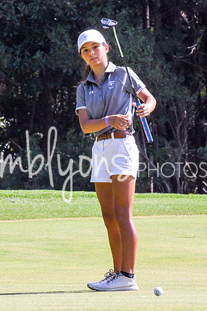 DSC_2733_edited-1