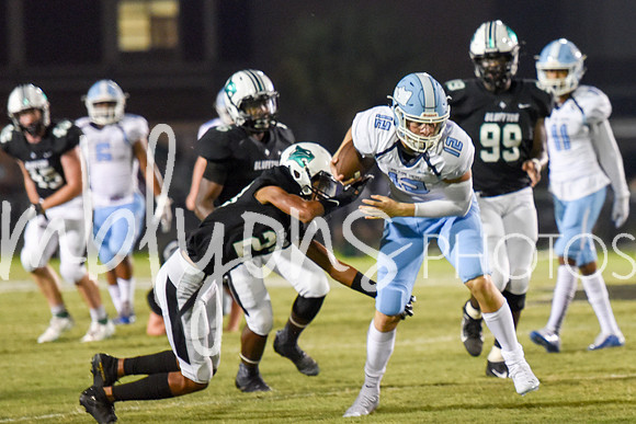 DSC_6878_edited-1