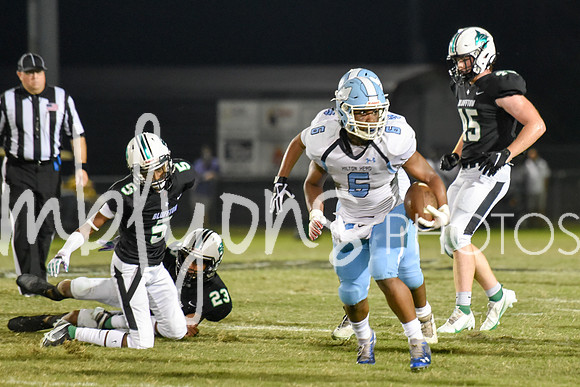 DSC_7003_edited-1
