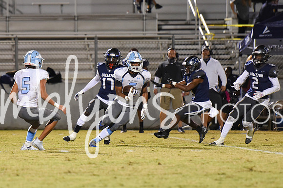 DSC_6766-1_edited-1