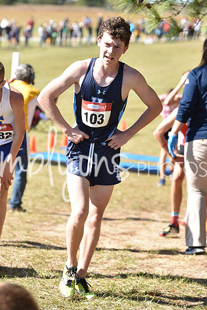 DSC_6102_edited-1